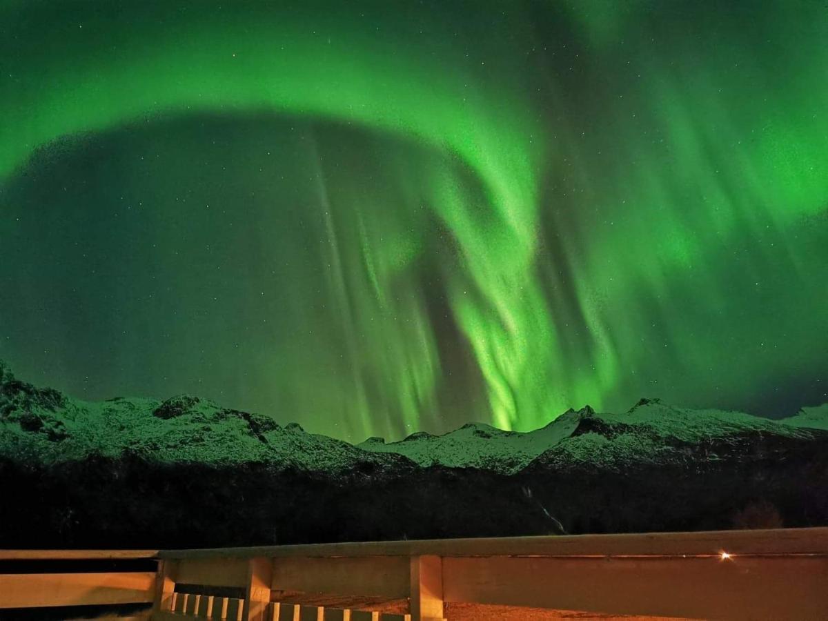 Unique And Charming House At The Foot Of Lofoten'S Highest Mountain Svolvær Exterior foto